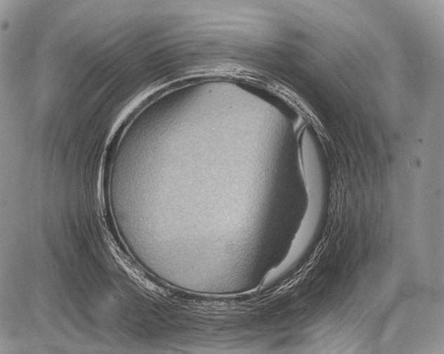 X0000081610788200702051353