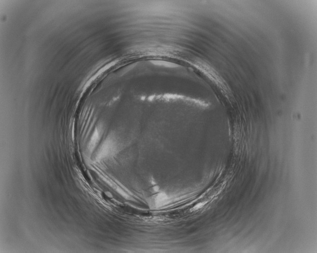 X0000081610790200702051353