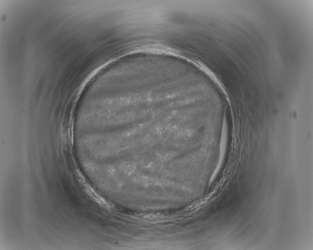 X0000081610791200702051353