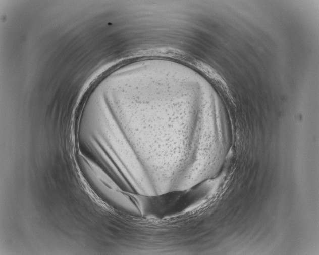 X0000081610792200702051353