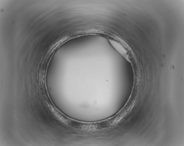 X0000081610793200702051353