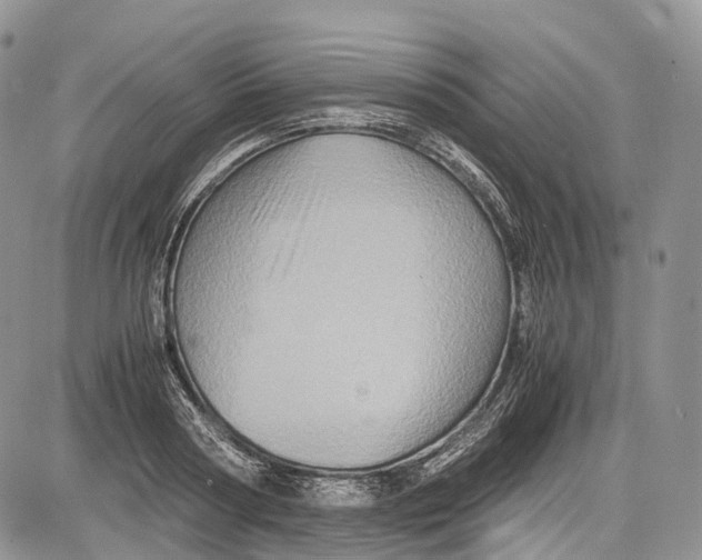 X0000081610794200702051353