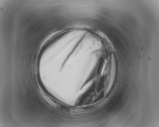 X0000081610795200702051353