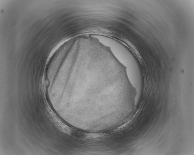 X0000081610796200702051353