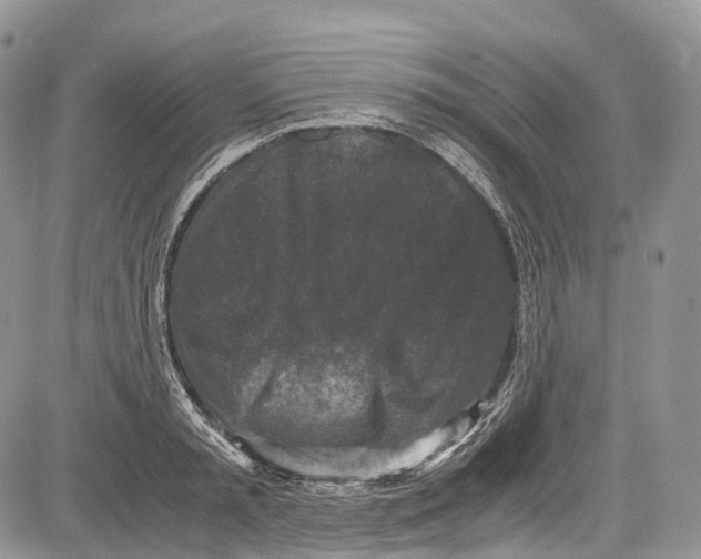 X0000081610797200702051353