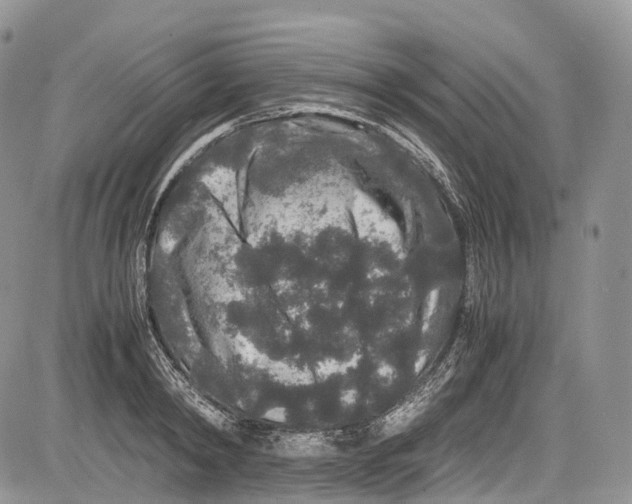 X0000081610798200702051353