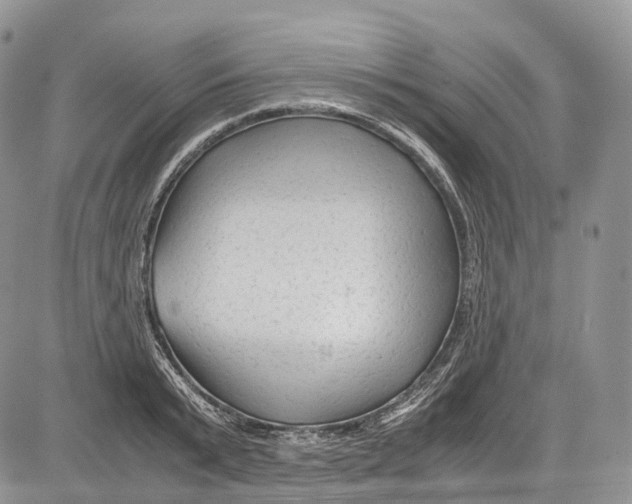 X0000081610799200702051353