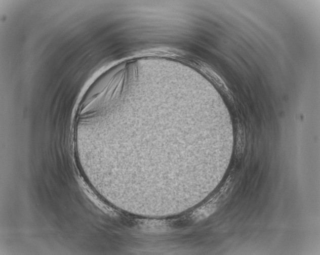 X0000081610800200702051353