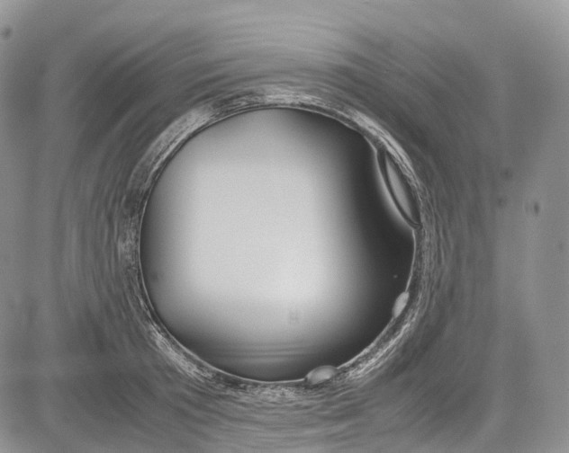 X0000081610801200702051353