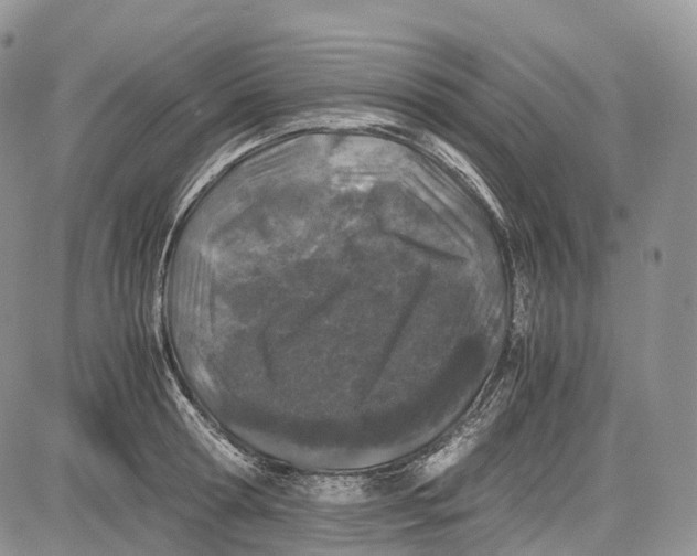 X0000081610802200702051353