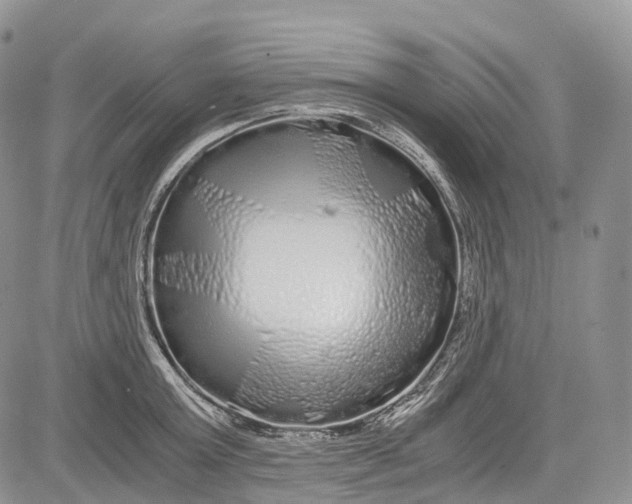 X0000081610803200702051353