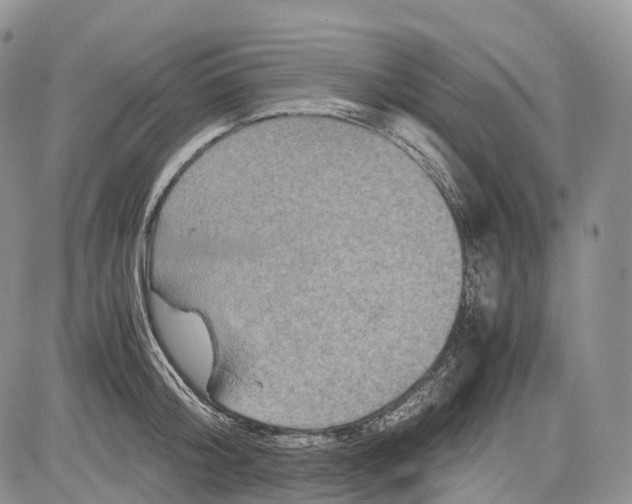 X0000081610804200702051353