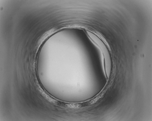 X0000081610805200702051353