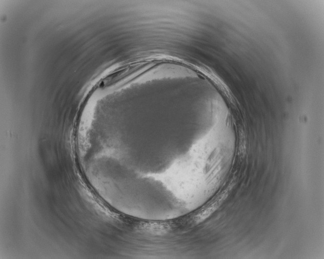 X0000081610806200702051353