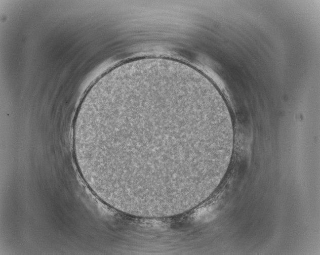 X0000081610807200702051353