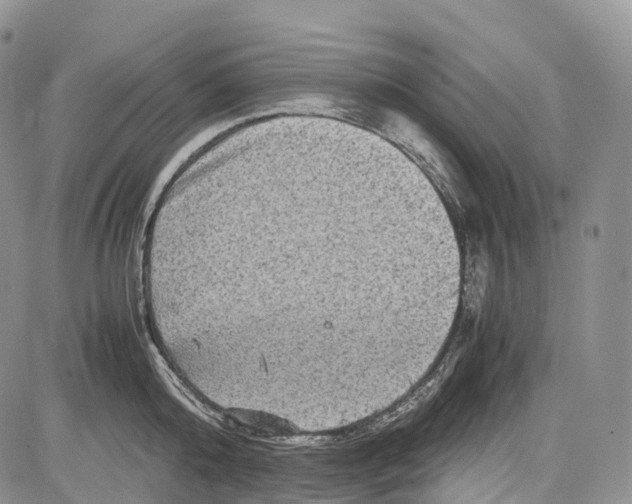 X0000081610808200702051353