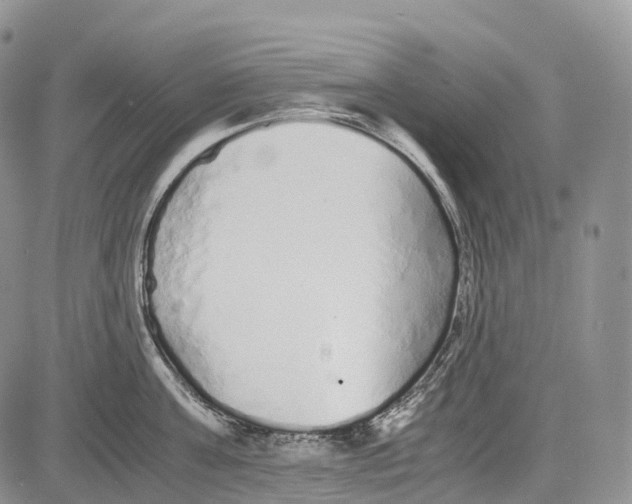 X0000081610811200702051353