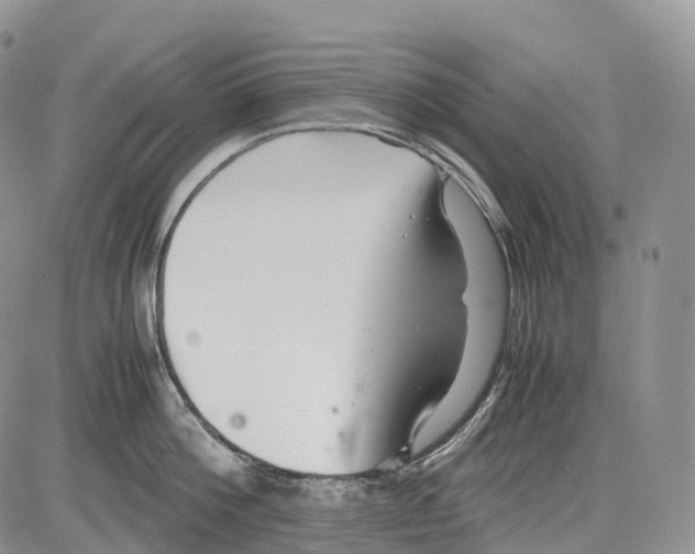 X0000081610812200702051353