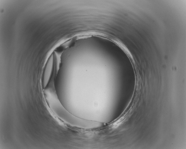 X0000081610813200702051353