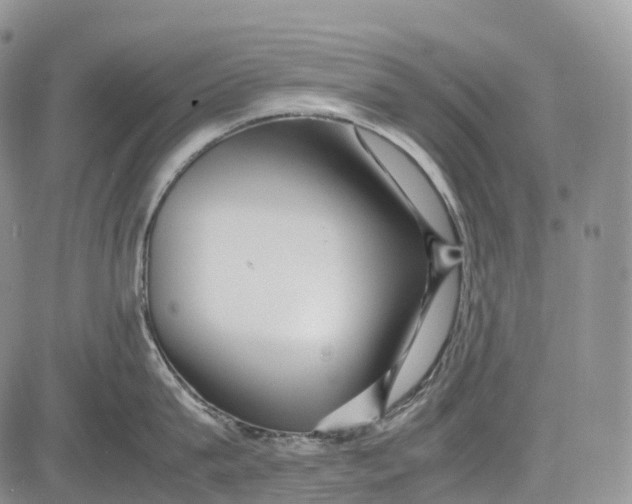 X0000081610815200702051353