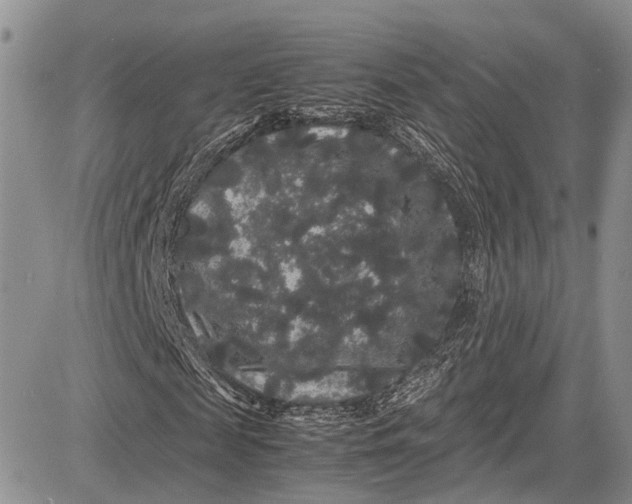 X0000081610817200702051352