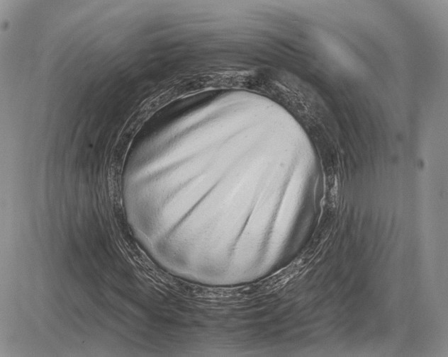 X0000081610819200702051352