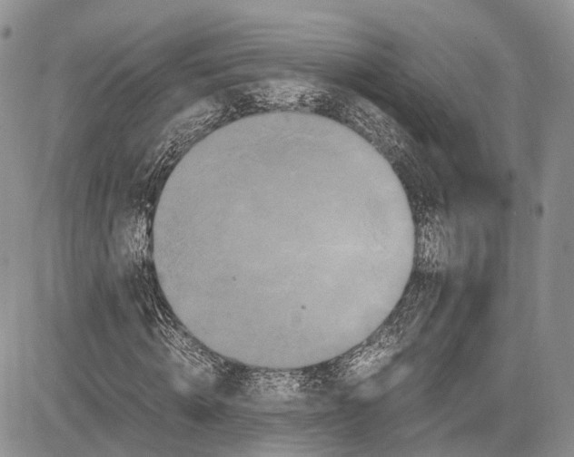 X0000081610820200702051352