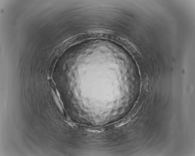 X0000081610821200702051352