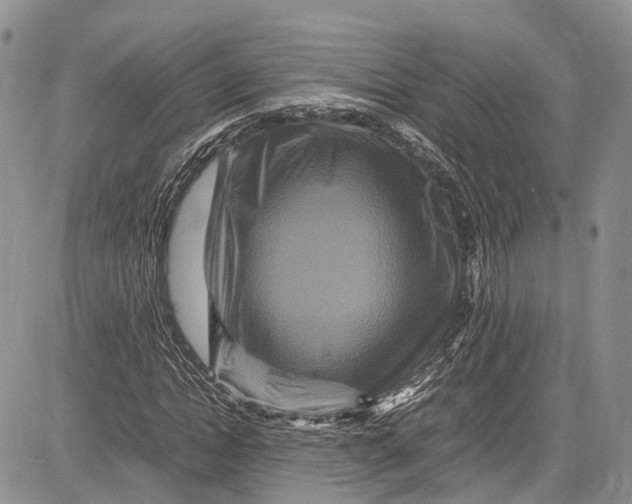 X0000081610822200702051352