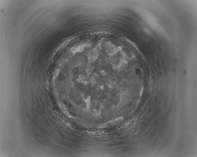 X0000081610823200702051352