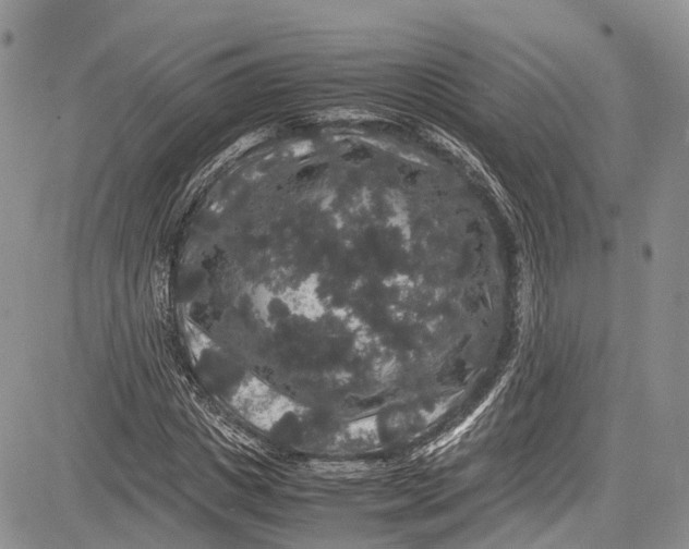 X0000081610825200702051352