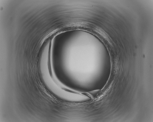 X0000081610826200702051352