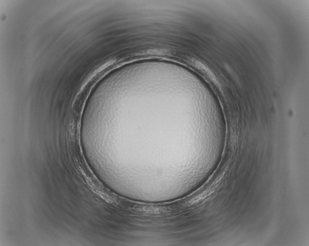 X0000081610827200702051352