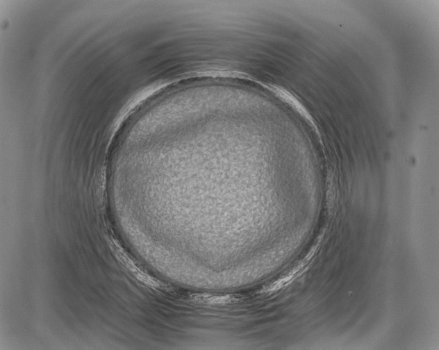 X0000081610831200702051352