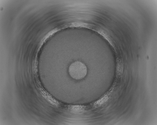 X0000081610832200702051352