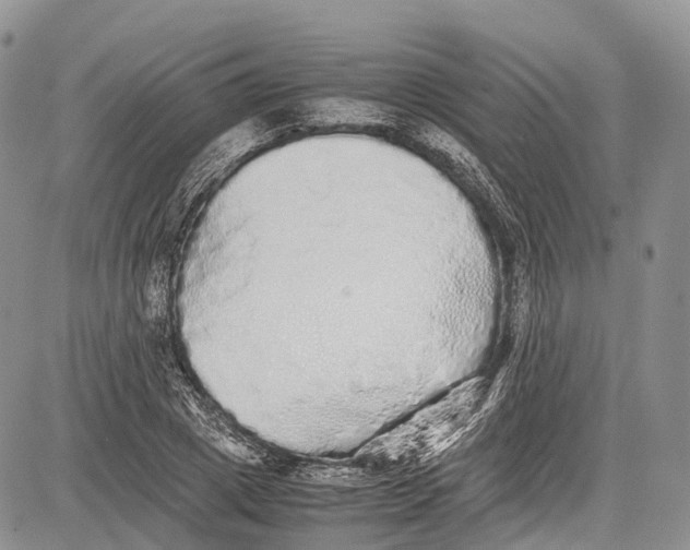 X0000081610833200702051352