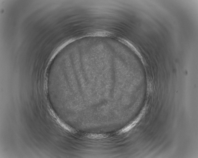 X0000081610835200702051352