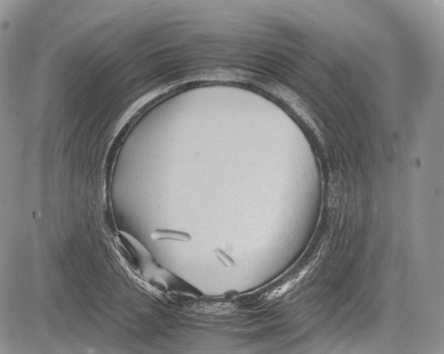 X0000081610837200702051352