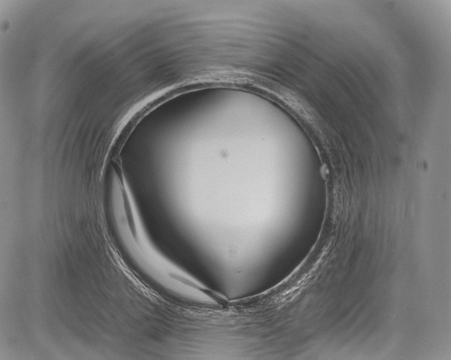 X0000081610838200702051352