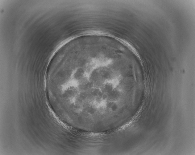 X0000081610839200702051352