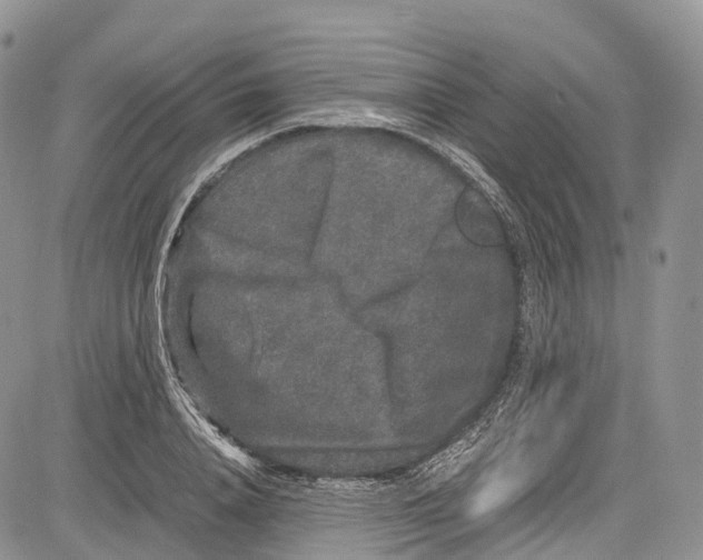 X0000081610840200702051352