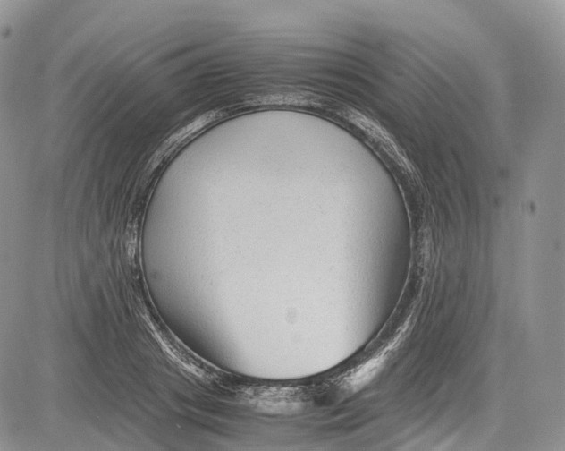 X0000081610841200702051352