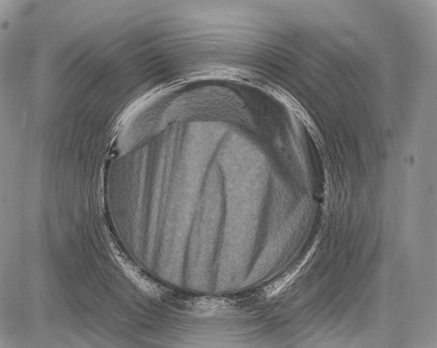 X0000081610842200702051352