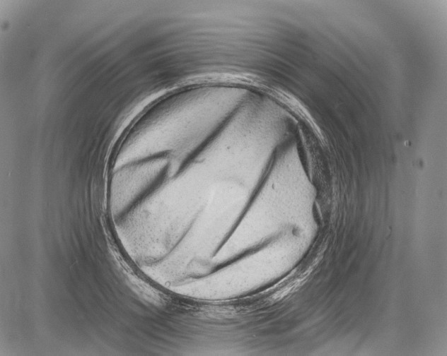 X0000081610844200702051352