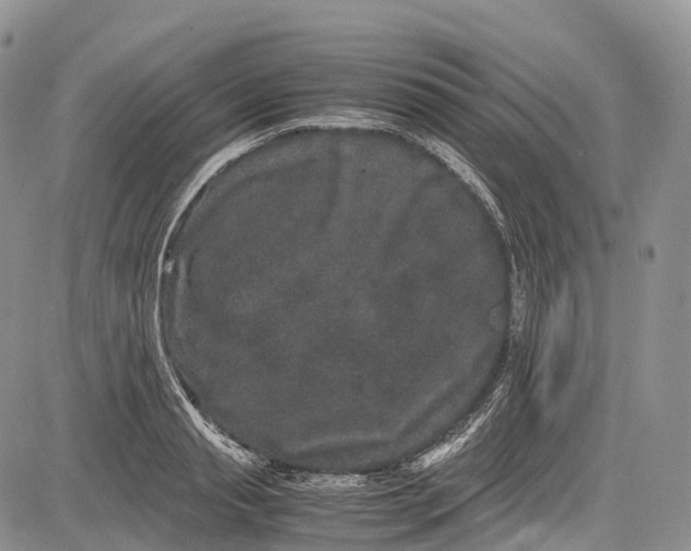 X0000081610845200702051352