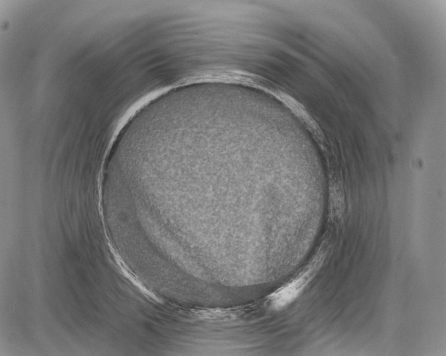 X0000081610846200702051352