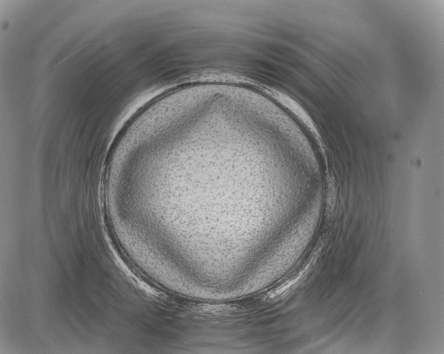 X0000081610847200702051352