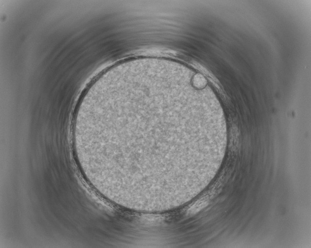 X0000081610848200702051352