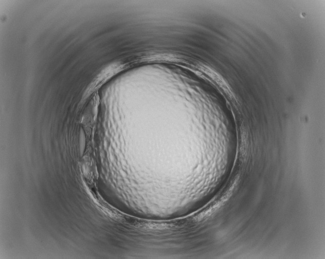 X0000081610849200702051352