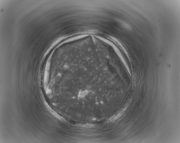 X0000081610851200702051352